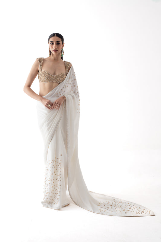 Stardust saree